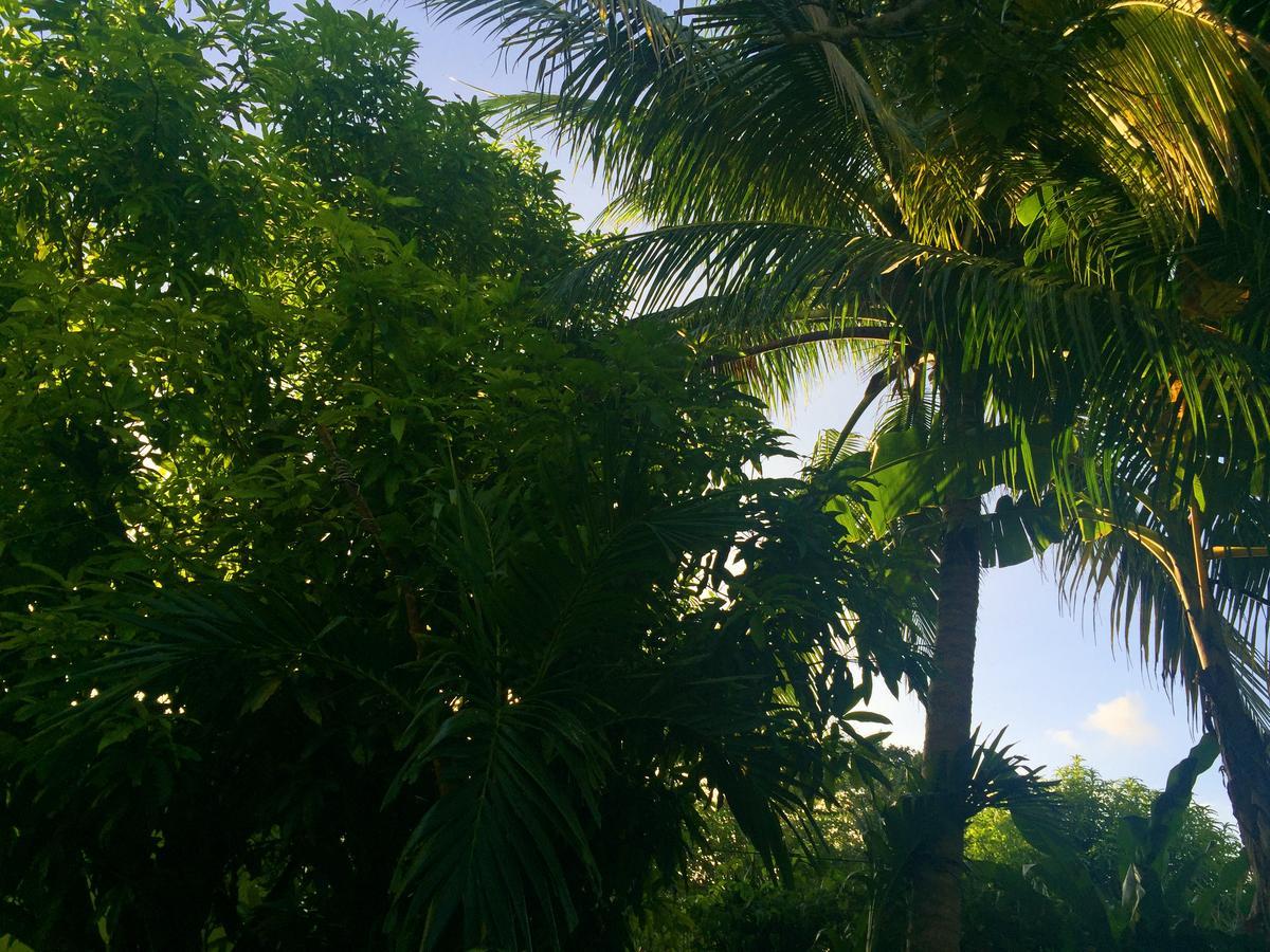 Yaad Hostel Teluk Montego Bagian luar foto